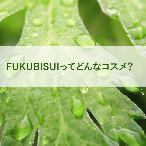 FUKUBISUIとは!? vol.8