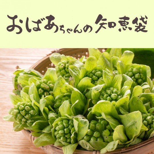 おばあちゃんの知恵袋【ふきのとう】